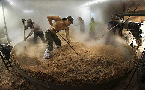 醉开心散酒铺货指南加盟or自营？免费铺货政策成破局关键