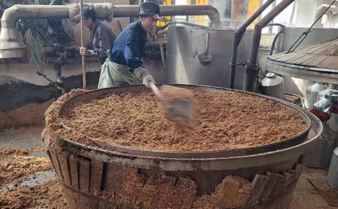 醉开心散酒厂家加盟新机遇 | 低门槛创业扶持政策火热开启